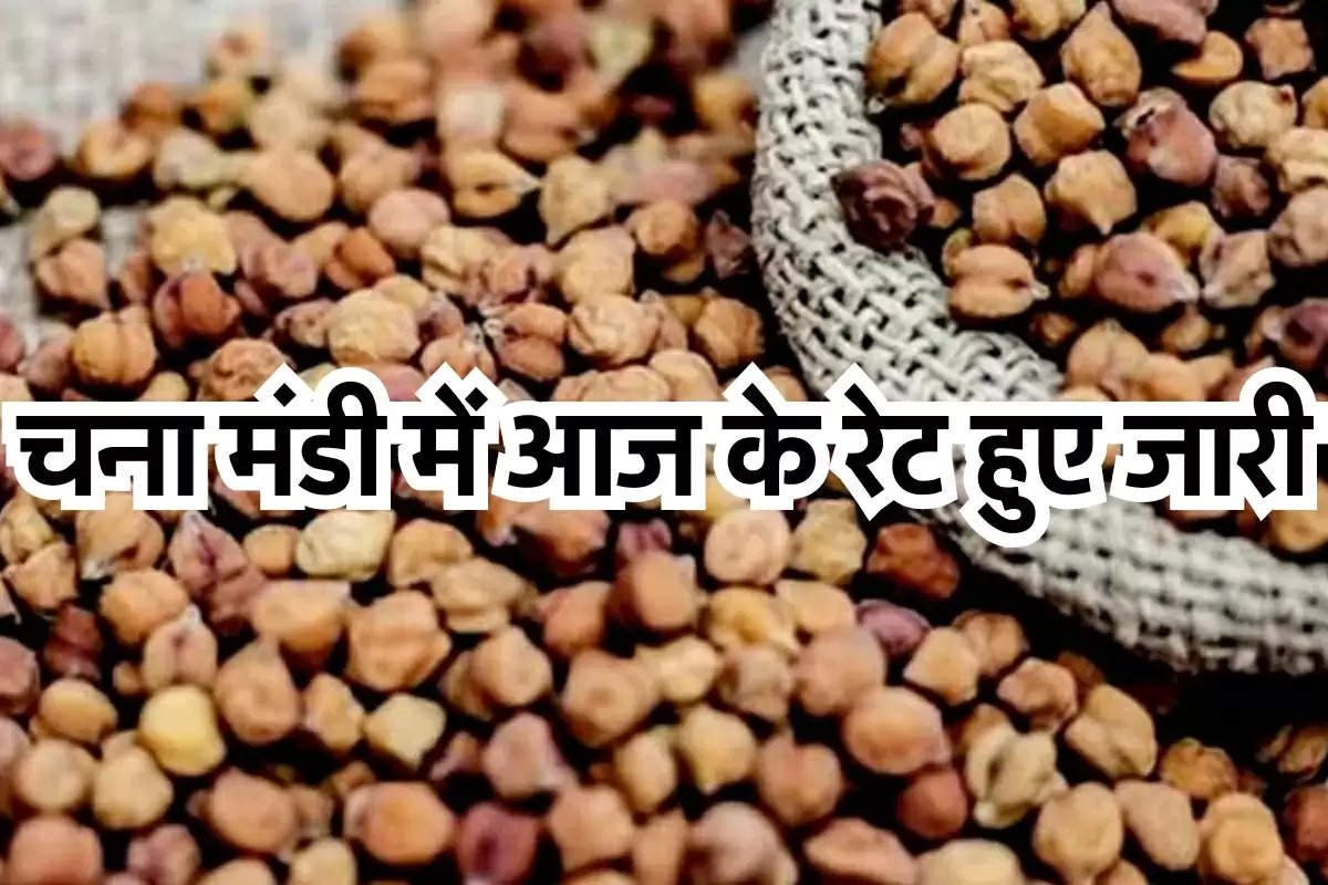 चना अनाज मंडी रेटः आज मंडियों में 30 मई 2024 को इस रेट पर बिका चना, जानें अपने शहर के ताजा रेट