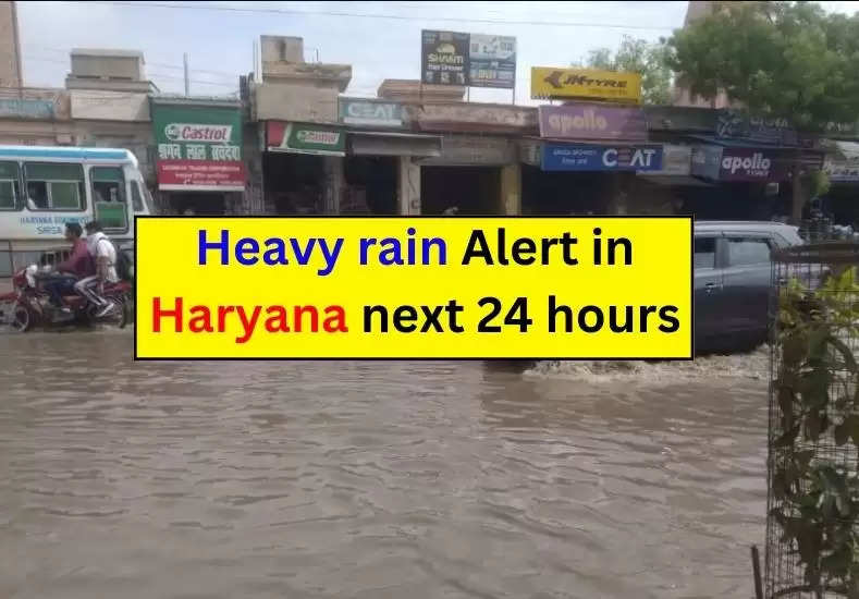 Haryana Weather Today: There will be full rain in these districts of Haryana in the next 24 hours, IMD warned