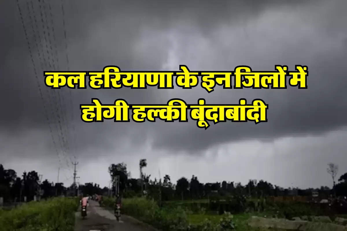 Haryana Weather Alert: कल हरियाणा के इन जिलों में होगी हल्की बूंदाबांदी, लोगों के चेहरे पर छाई खुशी  
