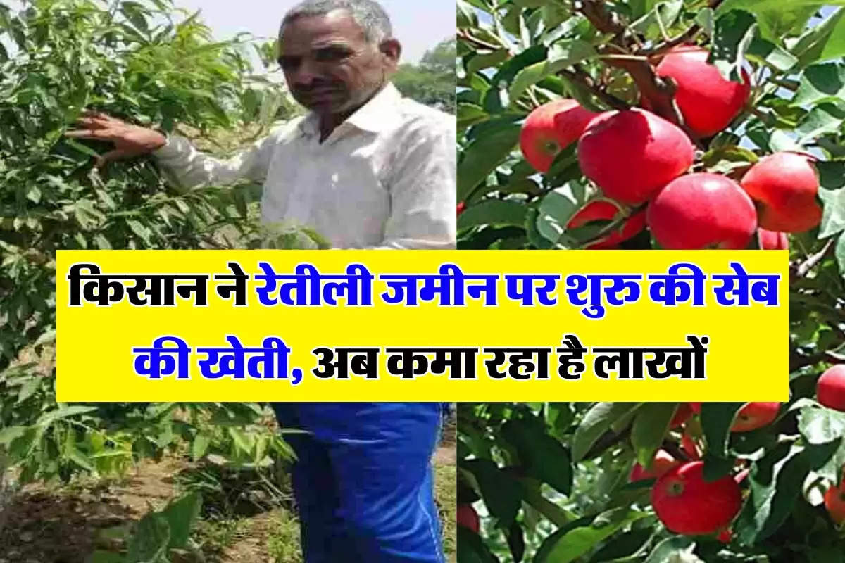 Haryana: चरखी दादरी के किसान ने रेतीली जमीन पर शुरु की सेब की खेती, अब हर साल कमाता है 2 लाख  