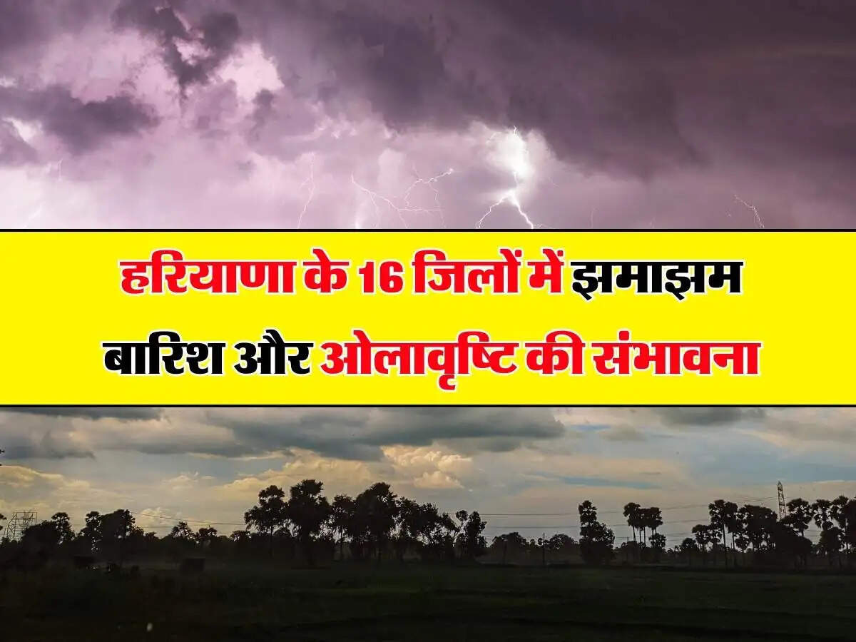 Rain In Haryana: हरियाणा के 16 जिलों में झमाझम बारिश के आसार, मौसम विभाग का अलर्ट