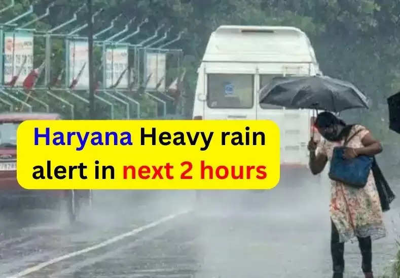 Haryana Weather Update: There will be heavy rain in these districts of Haryana in next 2 hours, IMD warns