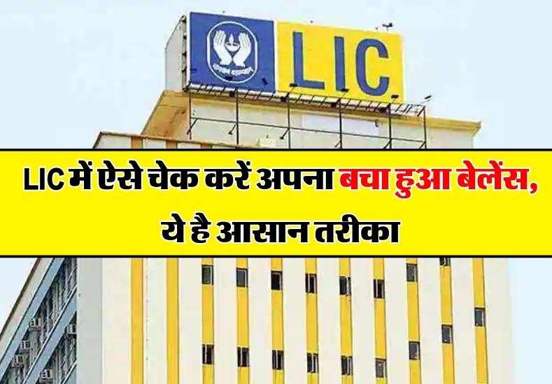 LIC में ऐसे चेक करें अपना बचा हुआ बेलेंस, ये है आसान तरीका