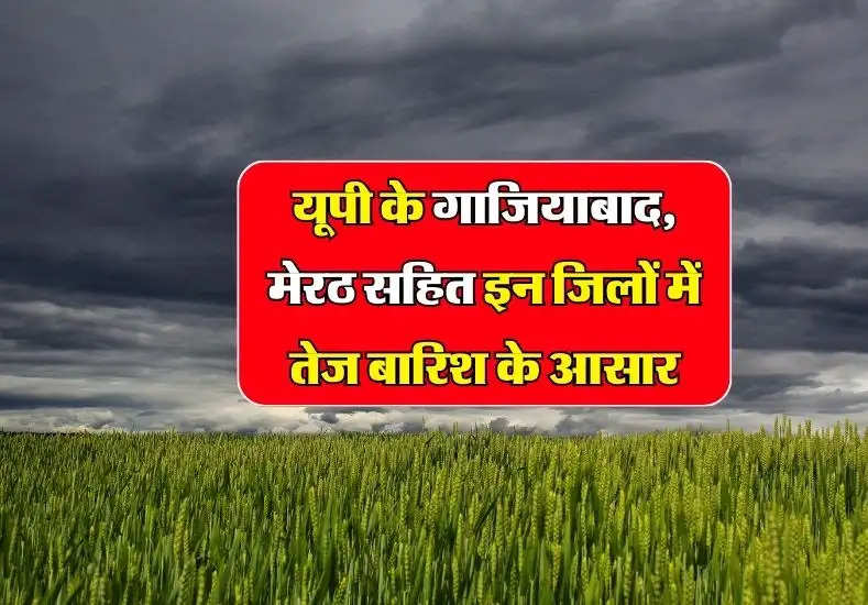 Rain In UP: यूपी के गाजियाबाद, मेरठ सहित इन जिलों में होगी बारिश, बिजली गिरने की संभावना