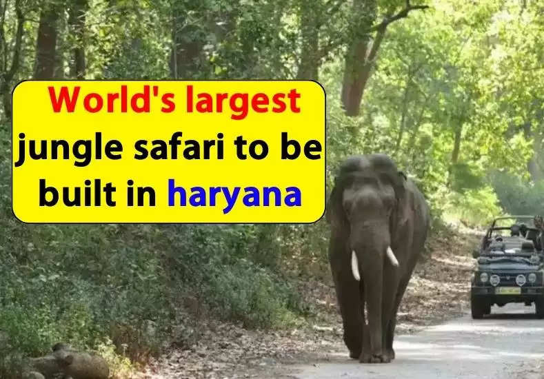 Haryana news: The world's largest jungle safari will be built on 10 thousand acres in this district of Haryana