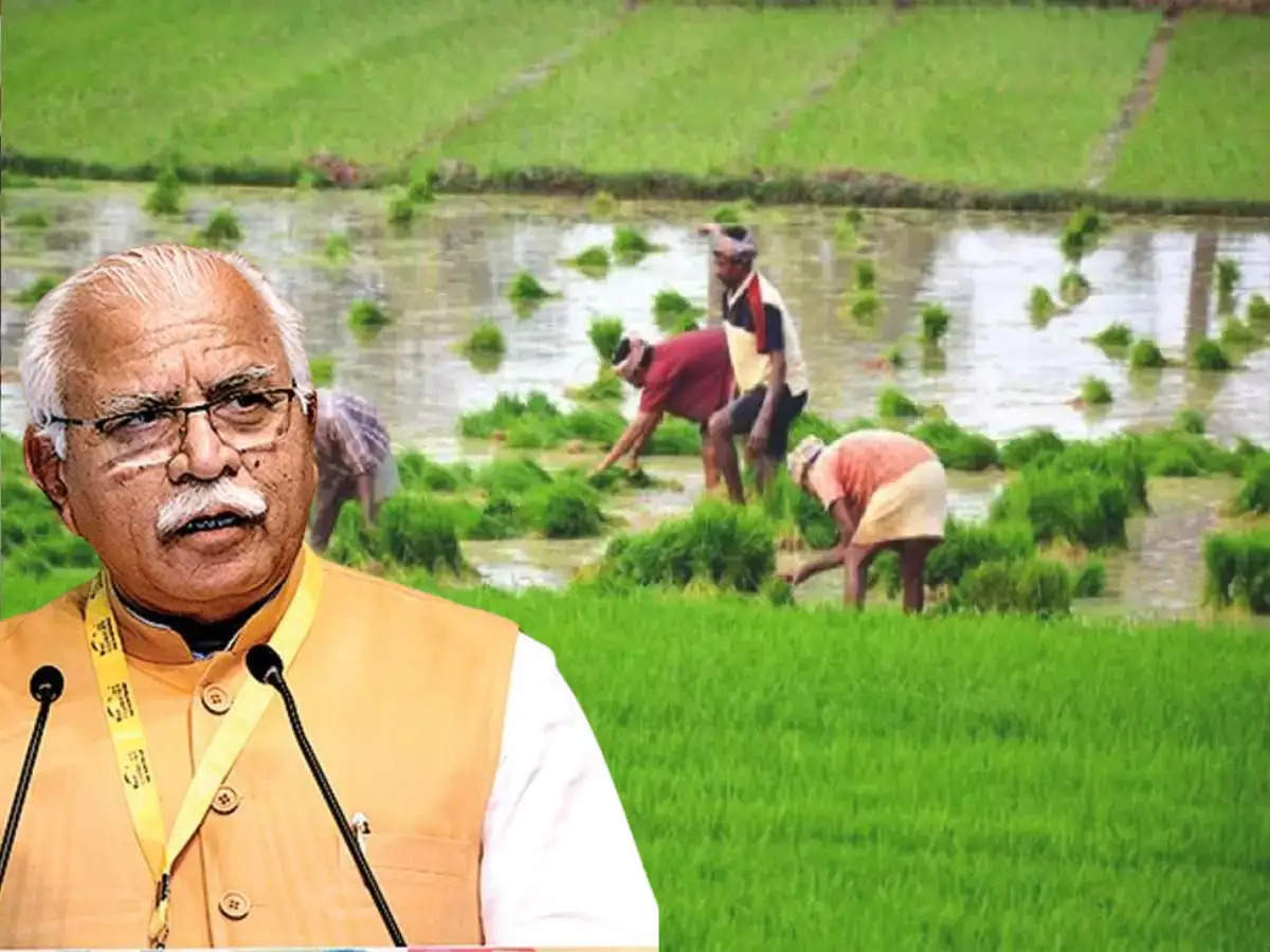 Haryana News: हरियाणा मे इन किसानों के लिए खुशखबरी, सरकार की इस योजना से  मिलेगा फायदा