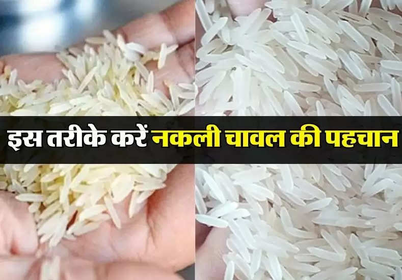 Rice Identification : इस तरीके करें नकली चावल की पहचान, खरीदते समय नहीं खाएगें धोखा